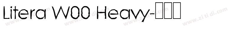 Litera W00 Heavy字体转换